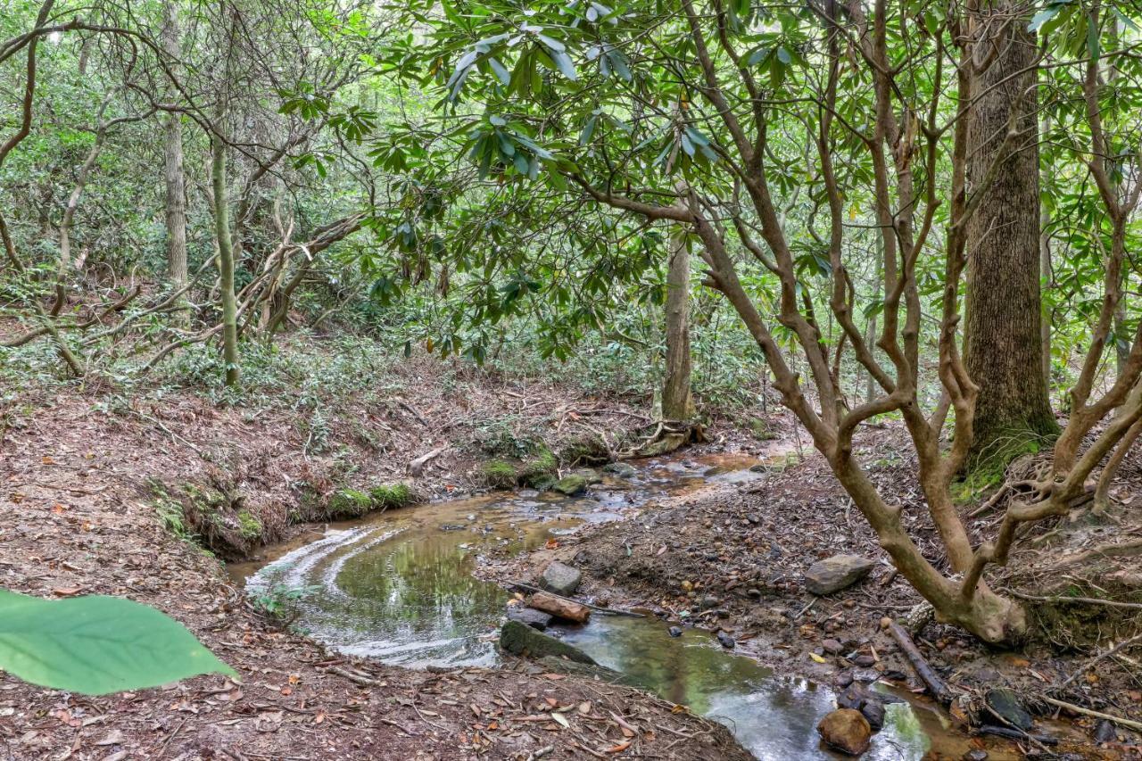 Villa Four Cubs In The Creek à Sautee Nacoochee Extérieur photo